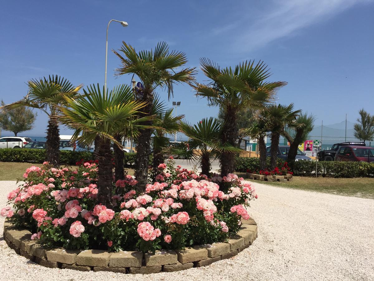 סניגליה Hotel Tritone מראה חיצוני תמונה